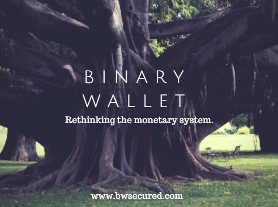 BwSecured's tweet photo. @binarywallet #binarywallet #optimizecurrency #creditrepair #prepaid #banking 1 800 842 2973 http://t.co/QEM8y23tjF