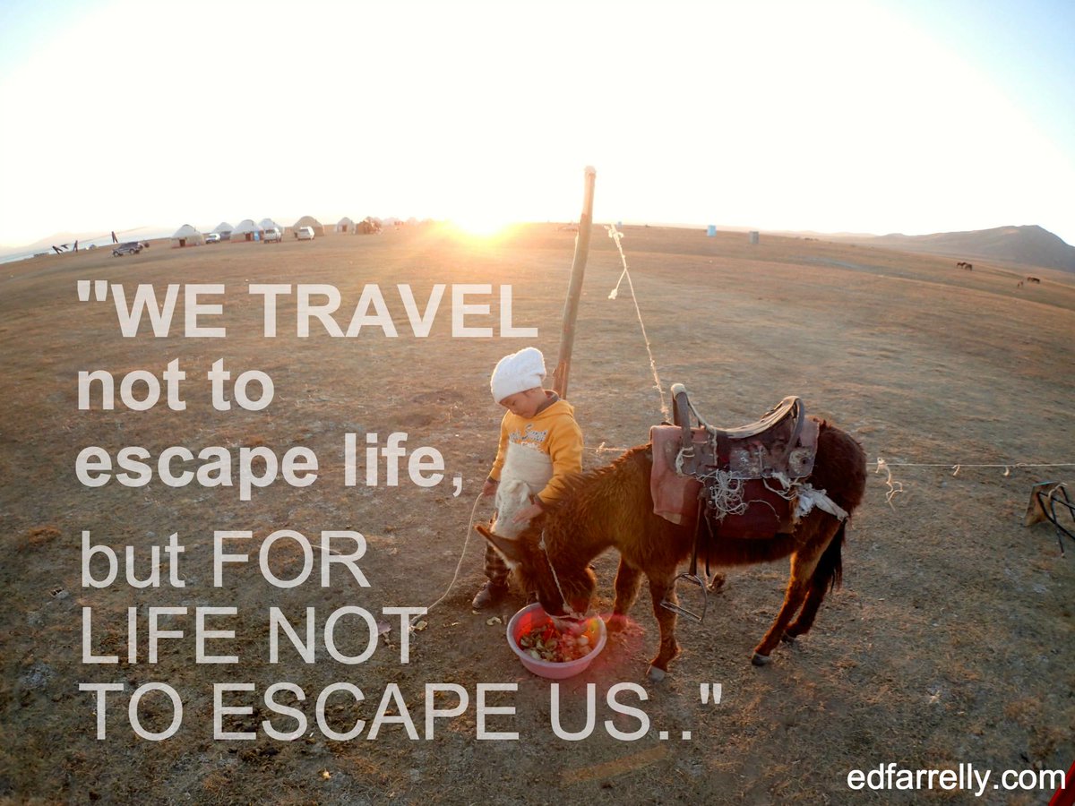 Ed Farrelly tweet media