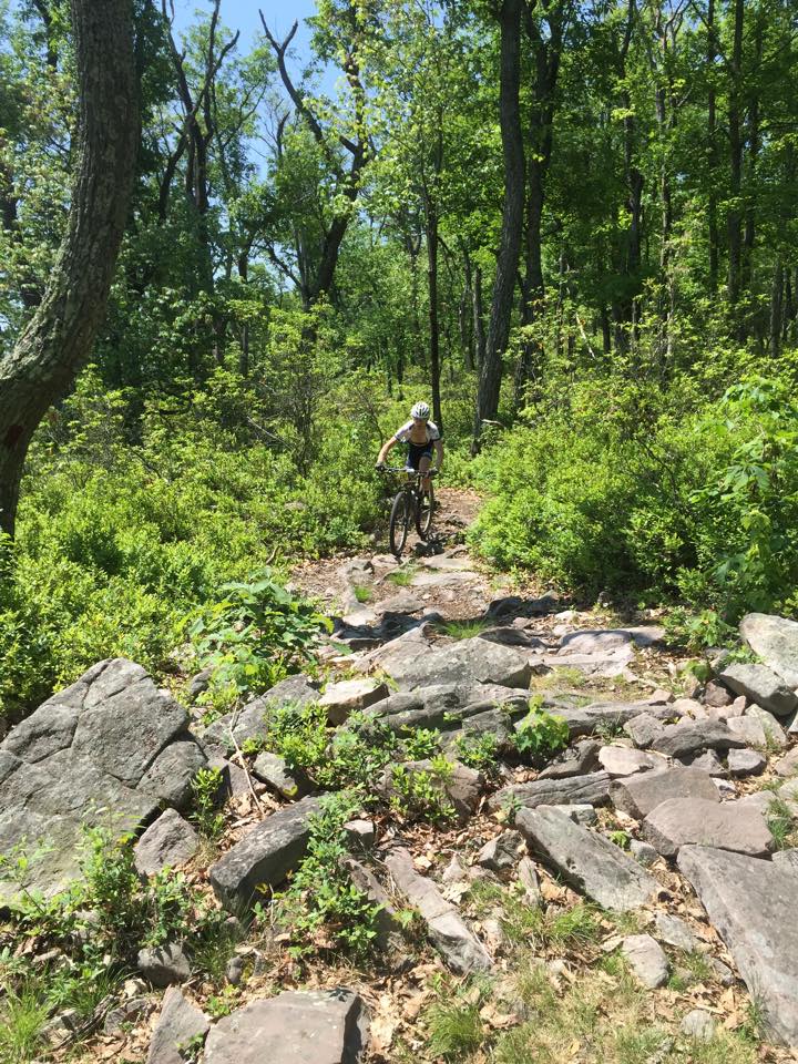 TransSylvania's tweet image. Live photo from the course: Hitting some @VisitPennState #EastCoastRocks! #TSEpic #SingleTrackSummerCamp #QueenStage