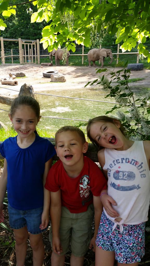 jilliejoe9's tweet photo. #senecaparkzoo @MissSpusta @smoody86 visiting the wild! #wildanimals http://t.co/O4SRUdBsPp