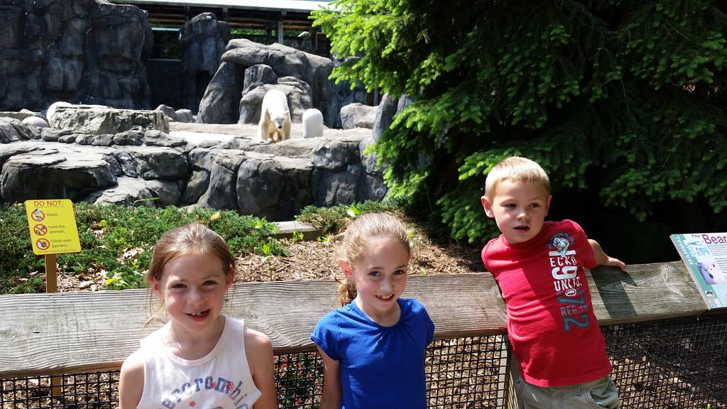 jilliejoe9's tweet photo. #senecaparkzoo @MissSpusta @smoody86 visiting the wild! #wildanimals http://t.co/O4SRUdBsPp