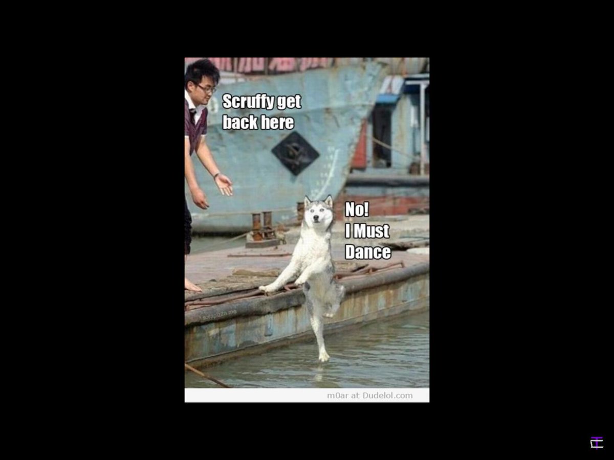 russevanregio's tweet image. 