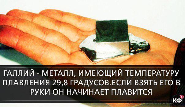 Константин (@kshemchuk) on Twitter photo 