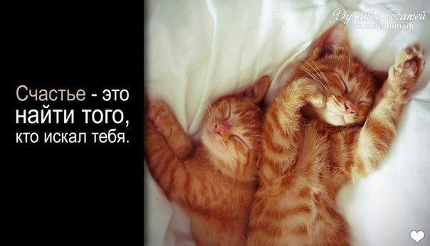 Константин (@kshemchuk) on Twitter photo 