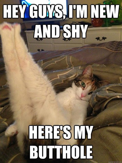 Cam girls be like... http://t.co/dGGRuVRclc<a href="/tag/ff"class="tags"><span>#ff</span></a><a href="/tag/retweet"class="tags"><span>#retweet</span></a><a href="/tag/mfc"class="tags"><span>#mfc</span></a>