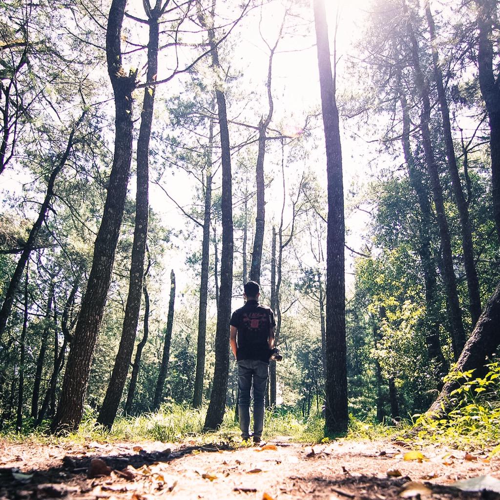 check our t shirt products that