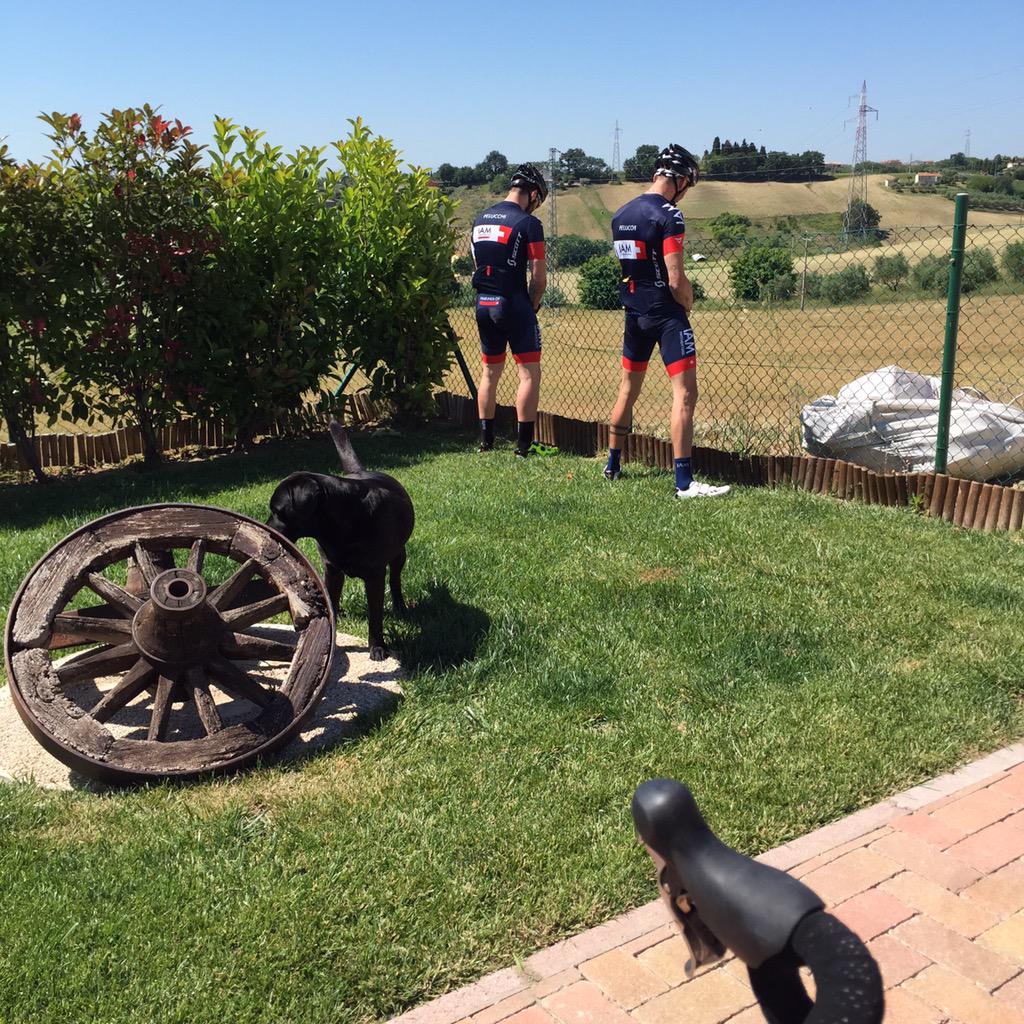 baiox_151's tweet image. #peoplearestrange #ap53 #ss73 #mb15