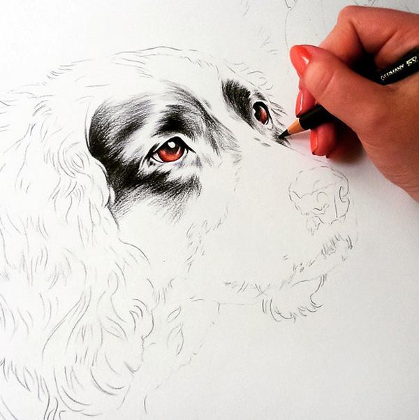 Everybody Can Attract Making Use Of Accurasee Drawing Method Everybody Can Attract Making Use Of Accurasee Drawing Method