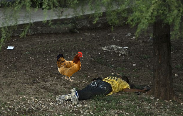 BaziltheBulldog's tweet photo. LEAKED PHOTO ! Security take down an intruder at Nkandla. #SecurityChicken #NkandlaReport http://t.co/e52PKrdpTm