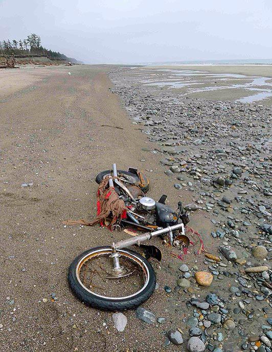 unfoundhouse's tweet photo. #HarleyDavidson washed up in Canada travelled all the way from Japan after a tsunami... http://t.co/iDvAvEeefI