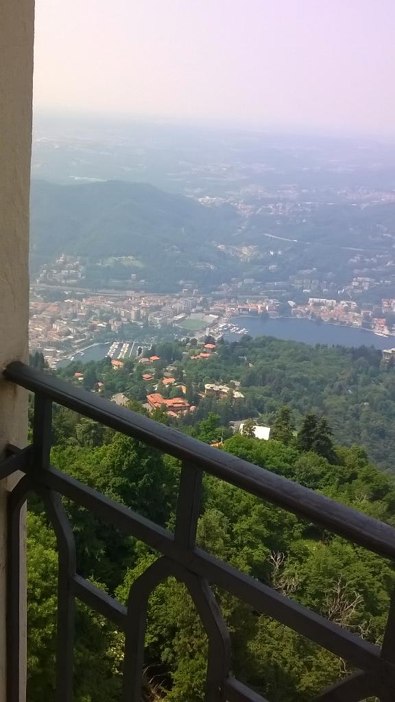 Daniela Gerosa tweet media