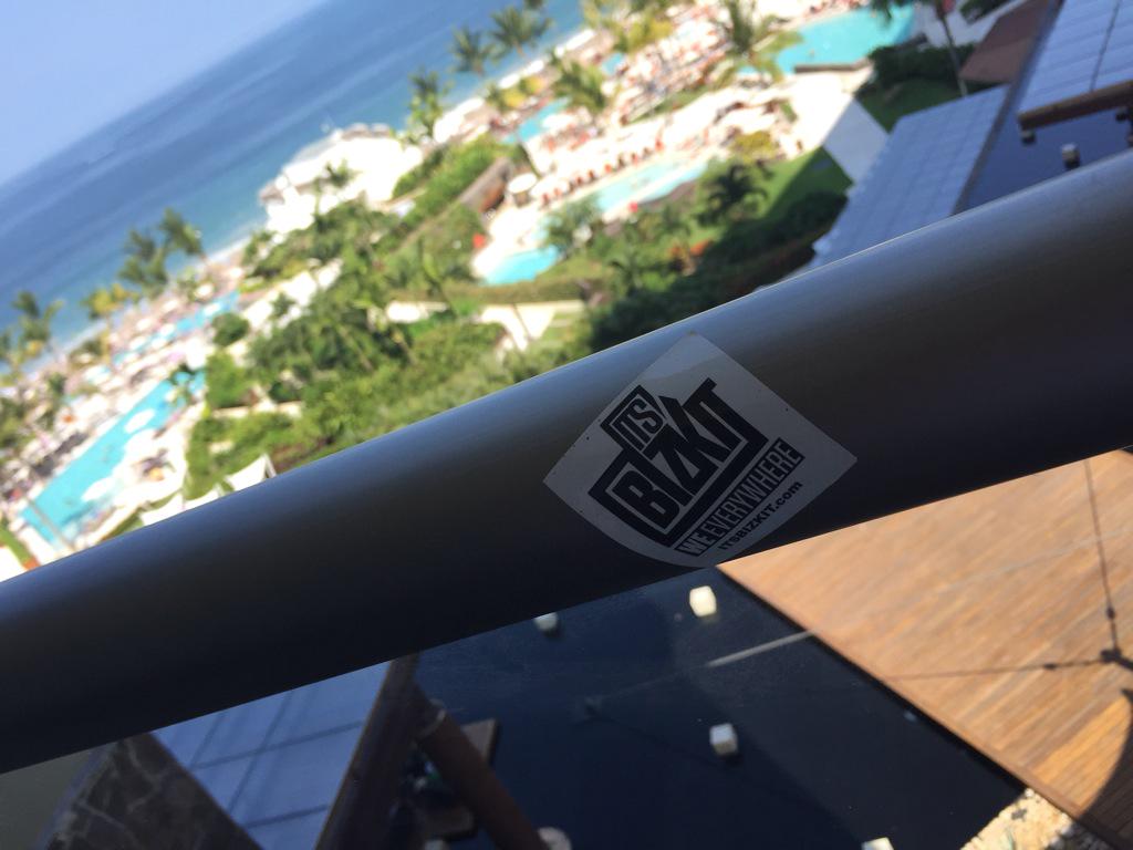 doanyc23's tweet image. About a week ago... #FBF #ItsBizkit #WeEveyrwhere @itsbizkit