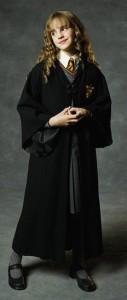 MIHLibrarian's tweet photo. Librarian Hero Cosplay http://t.co/bU47bZq34F http://t.co/XukTkhvRqU