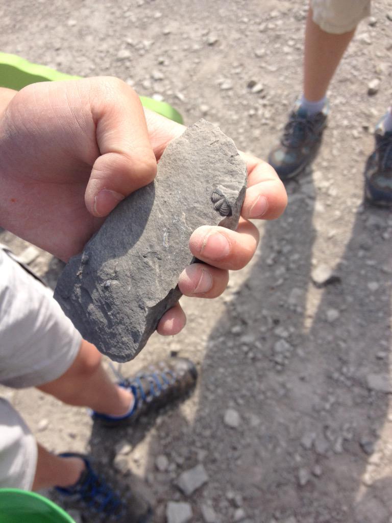 sngrbean's tweet photo. @ACSRochester #prospectors Already found a trilobite tail! #fossome  @TDuver @RyanmBurke http://t.co/XNVOoTmRtc