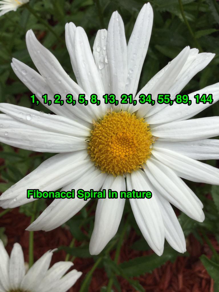 _PattySchroeder's tweet image. @opsedtech &quot;Taking a picture of the content you&apos;re learning makes it more relevant.&quot; #OPSMSMath #usedSkitch