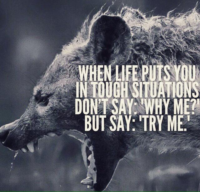 newroadsfit's tweet photo. I've been down, I've said "Why me?", I've picked myself back up. I'm stronger than before so "Try me" I dare you. http://t.co/Tq62obJmMf