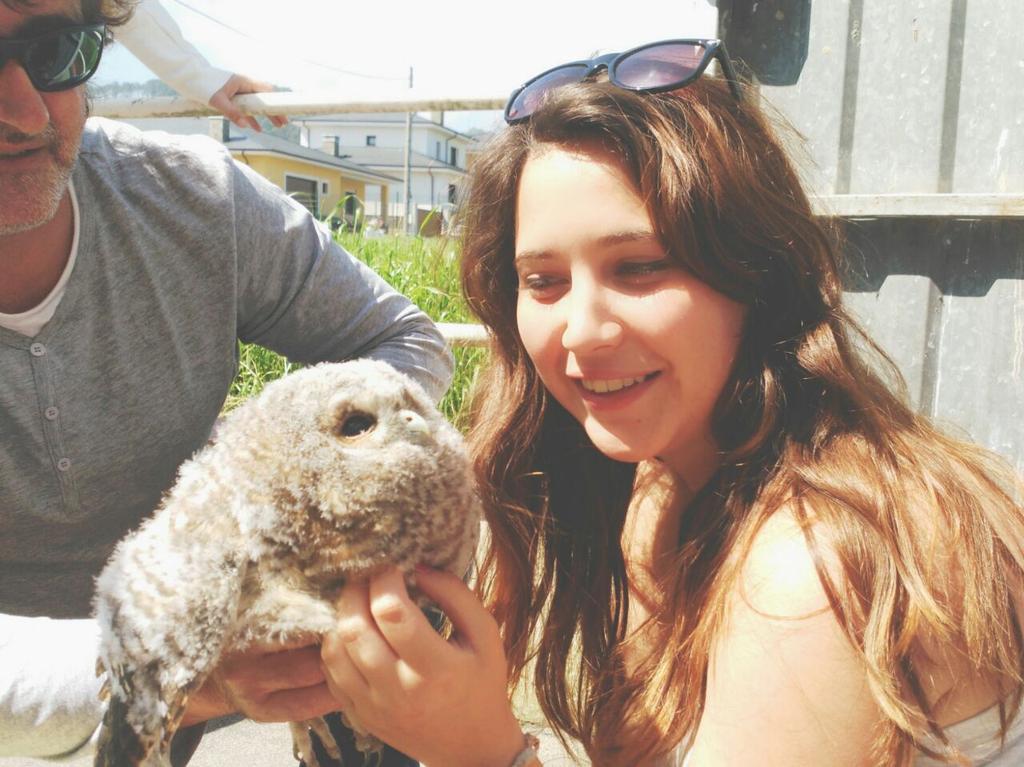 PalomaURJC's tweet photo. @LuciaPomps pues yo a ti si te veo... Traidora... Se que no te gustan las palomas, TE GUSTAN LOS BUHOS!! http://t.co/i117Tg1Pa8