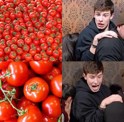 Shawn Mendes tweet media