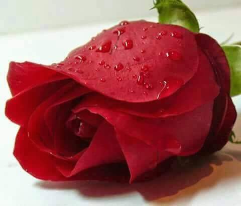 MamsiRamzi's tweet photo. http://t.co/1uBZuXEqLj