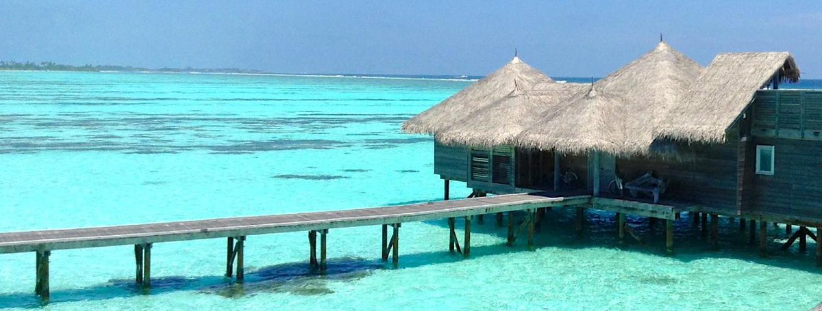 Tripadvisor's tweet image. Hammocks hanging over water are just the beginning when you're at the best hotel in the world: p.ctx.ly/r/rey