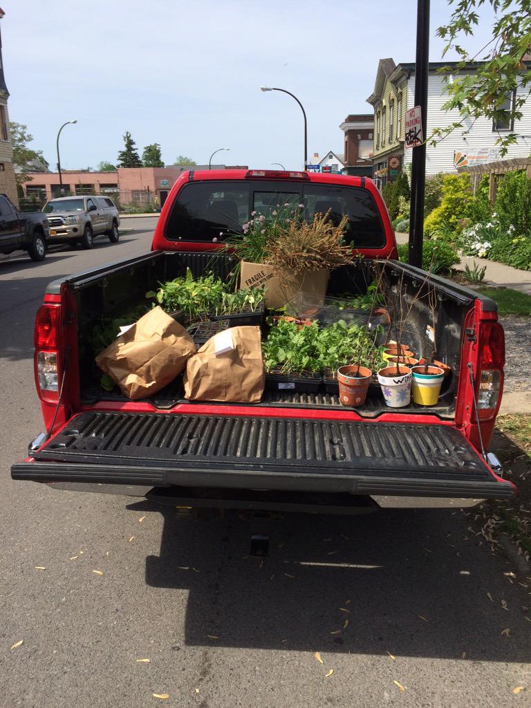 GGWNY's tweet image. What would we do without them? No, really. What? @buffalocarshare #buffalo #buffalove #transitaccess