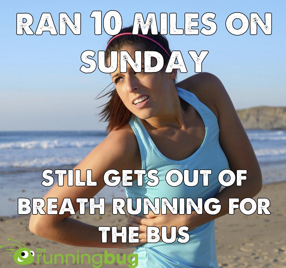 The Running Bug tweet media