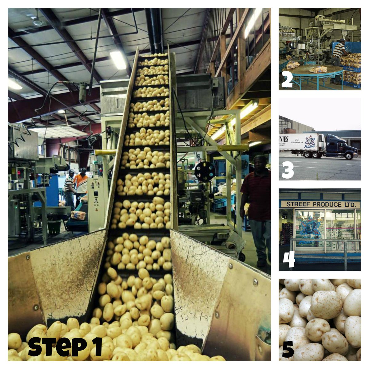 Today <a href="/mikaylastreef/">Mikayla Streef-Bégin</a> takes us on a journey to learn how potatoes get to the grocery store! ow.ly/NBCni