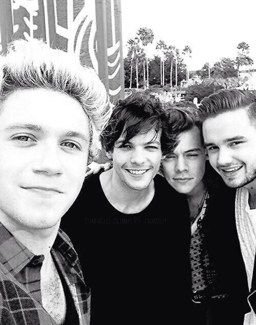 022_karlita's tweet image. #ChoiceSelfieTaker Niall Horan ·♡♥Sin duda es el mejor para esta nominación #ChoiceFandom Directioners *-* 1D