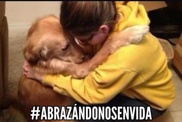Ambientebogota tweet picture