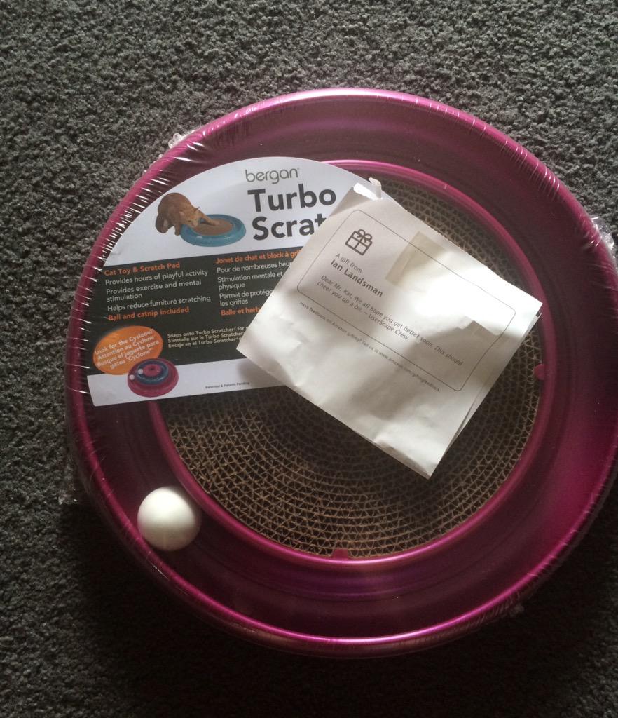 <a href="/userscape/">UserScape Inc</a> is the best company around because they send surprise gifts to their employees sick kitties. Thank you <3