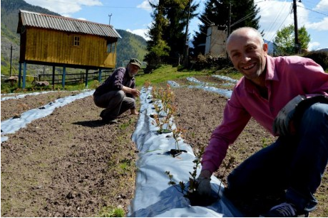 UNDP's tweet image. Blueberries &amp;amp; connectivity, key ingredients for Mikeladze's success in #Georgia: on.undp.org/Nz52x #innov4dev