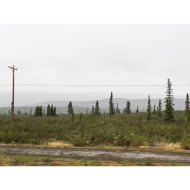 MorriganCora's tweet image. Into the fog.

#alaska #projectalaska #bindebros #landscape #landscape_lovers #landscapest… ift.tt/1QfzeLn