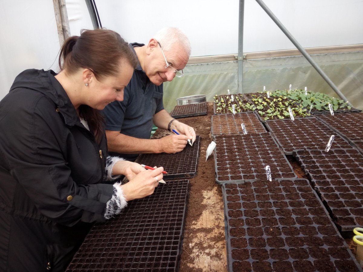 BridgeFarms's tweet image. Free next week? Volunteers welcome on Tues, Weds or Thurs morning - come and give us a hand! bridgecommunityfarms.co.uk/Volunteers-nee…