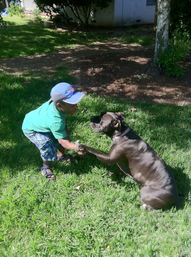 SageOfEchoes's tweet image. Teaching my Haitian friend, Jean Chrislot Michaud, how to train a dog today. @TeamMichMoore #ChicoCA #CityOfChico