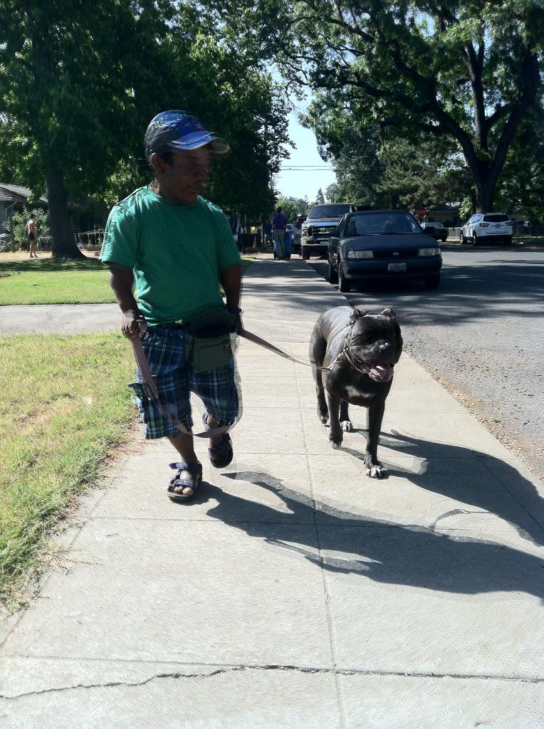 SageOfEchoes's tweet image. Teaching my Haitian friend, Jean Chrislot Michaud, how to train a dog today. @TeamMichMoore #ChicoCA #CityOfChico