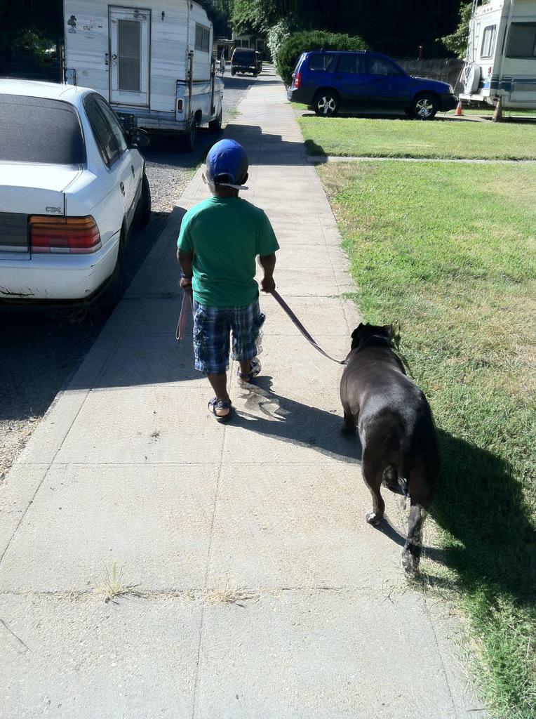 SageOfEchoes's tweet image. Teaching my Haitian friend, Jean Chrislot Michaud, how to train a dog today. @TeamMichMoore #ChicoCA #CityOfChico