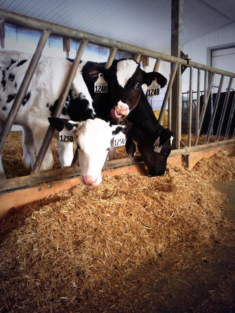 Linda Slits tweet media