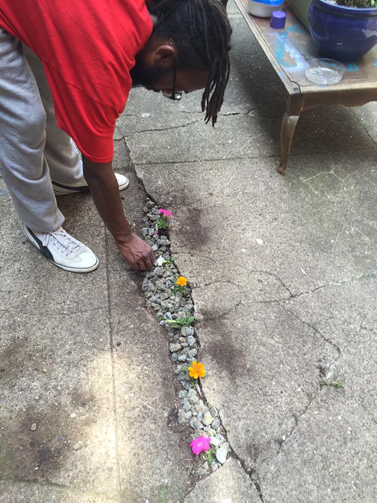 SopranoWing's tweet image. Friday Morning #UrbanGardening #funProjects