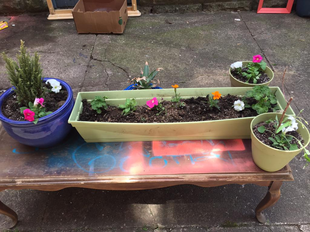 SopranoWing's tweet image. Friday Morning #UrbanGardening #funProjects
