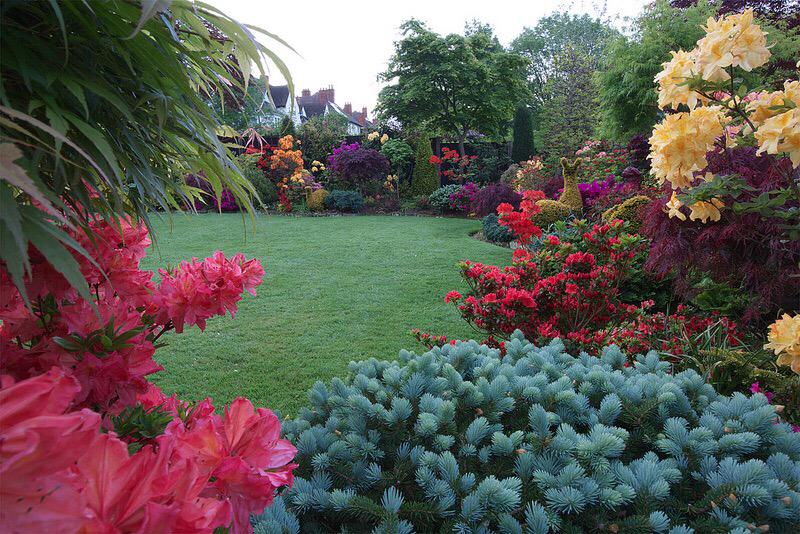 MaggieLindemann's tweet photo. My dream I love plants !!!!! http://t.co/ZwYzGy7I7U