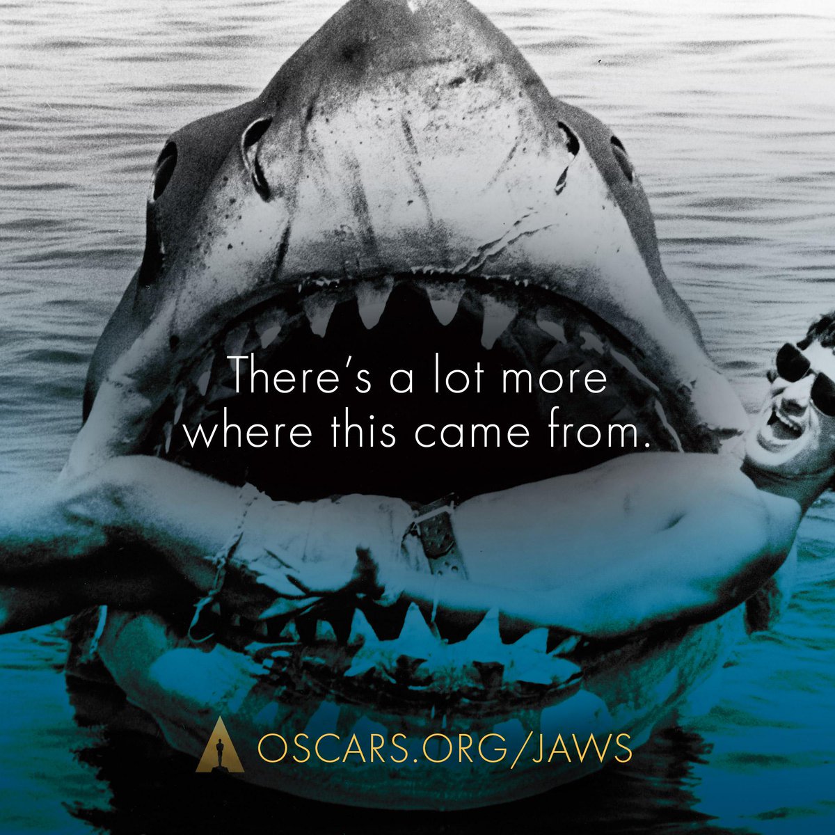 TheAcademy's tweet image. Calling all #Jaws fans!  See rare photos, videos and more in our Collection Highlights.  Oscars.org/jaws