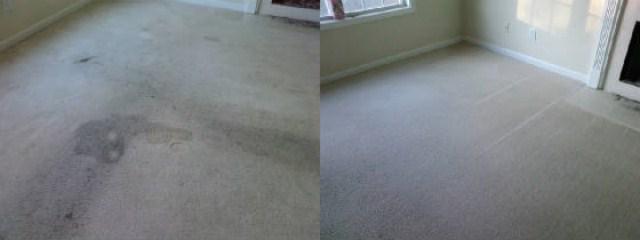 citrusolutioncu's tweet image. Tired of disgusting carpets? Let us change that! CitruSolution.com #springcleaning #carpetcleaning #win