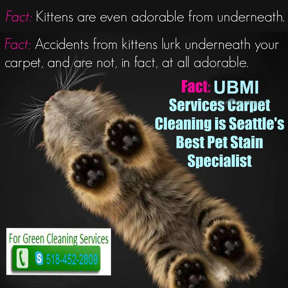 UBMINYservices's tweet image. 