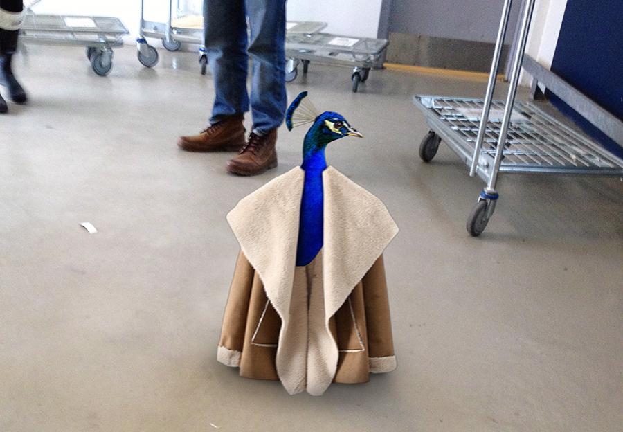 When legends of Toronto's animal kingdom collide #torontopeacock #ikeamonkey