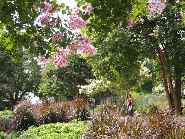 Visit San Antonio (@visitsanantonio) on Twitter photo Congrats to <a href="/SABotGarden/">San Antonio Botanical Garden</a> for receiving <a href="/TripAdvisor/">Tripadvisor</a>'s Certificate of Excellence Award for great hospitality! Congrats to <a href="/SABotGarden/">San Antonio Botanical Garden</a> for receiving <a href="/TripAdvisor/">Tripadvisor</a>'s Certificate of Excellence Award for great hospitality!