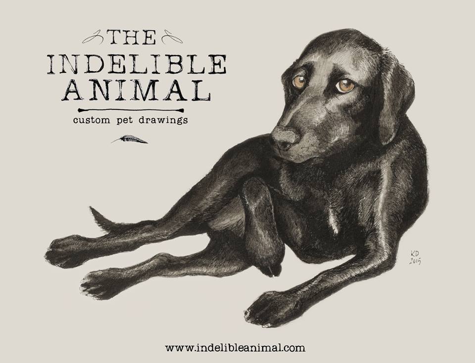 SurplusCamera's tweet photo. #IndelibleAnimal #KristaDragomer #CustomPetDrawing #CarrollParkFair #Brooklyn Sat. 10am-5pm http://t.co/CpDaWBPLne http://t.co/zRNlMqM4JS