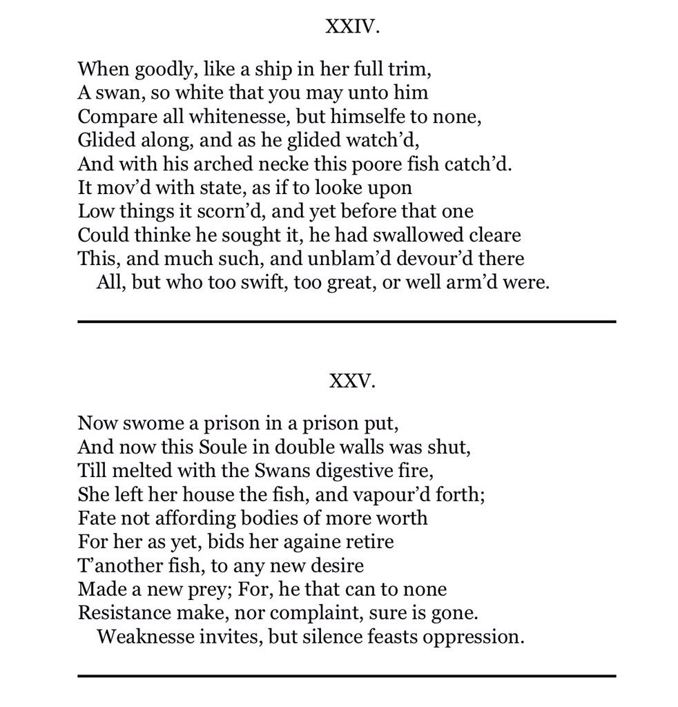 KyleHighClub's tweet image. 