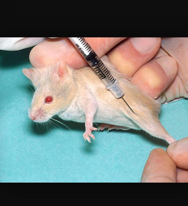 Vaughters's tweet photo. Team doctors working diligently to assure hamsters in @ryder_hesjedal bottom bracket recover for tomorrow. http://t.co/Vn3Z06WhG8