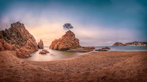Zen Paisajes tweet media