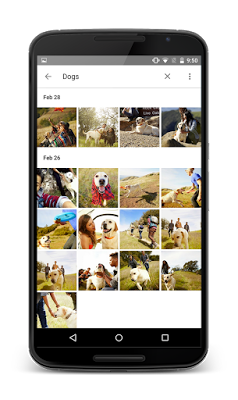 WeWork's tweet photo. Here's why #GooglePhotos is your new essential app for pictures: http://t.co/VMvydcDznu via @WIRED #Googleio15 http://t.co/XZeKYhelvL